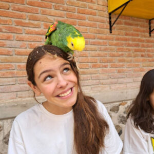 escuelas10